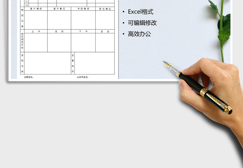 2025年业务员日报表