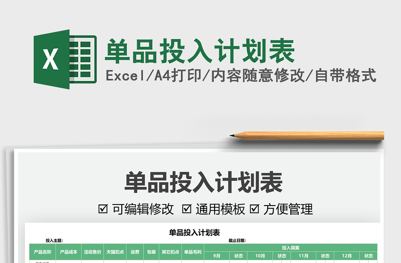 2025单品投入计划表免费下载