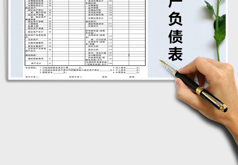 2025年资产负债表财务报表