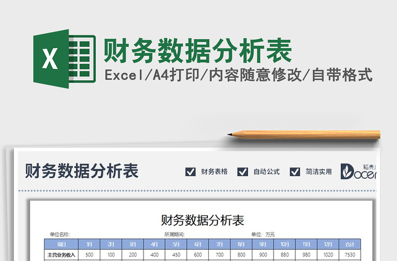 2025年财务数据分析表