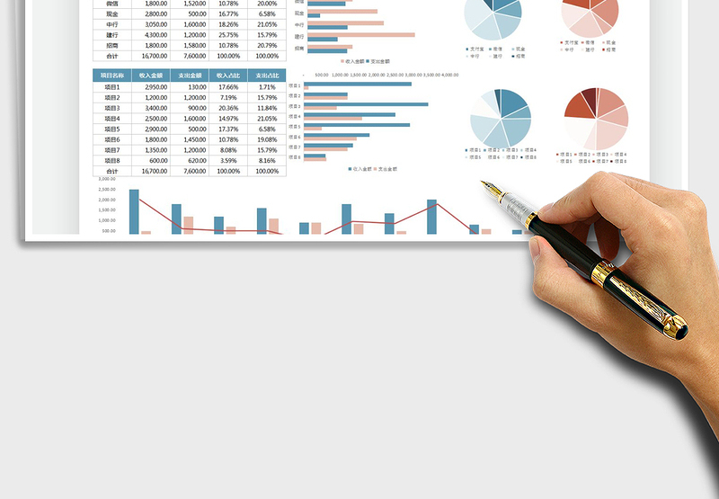 收入支出日记账-可视化图表