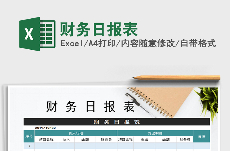 2025年财务日报表