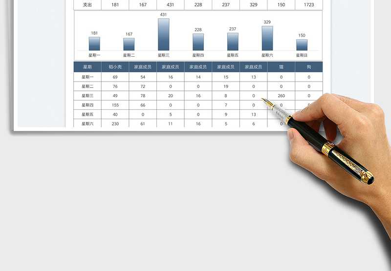 2025家庭开支一周统计表免费下载