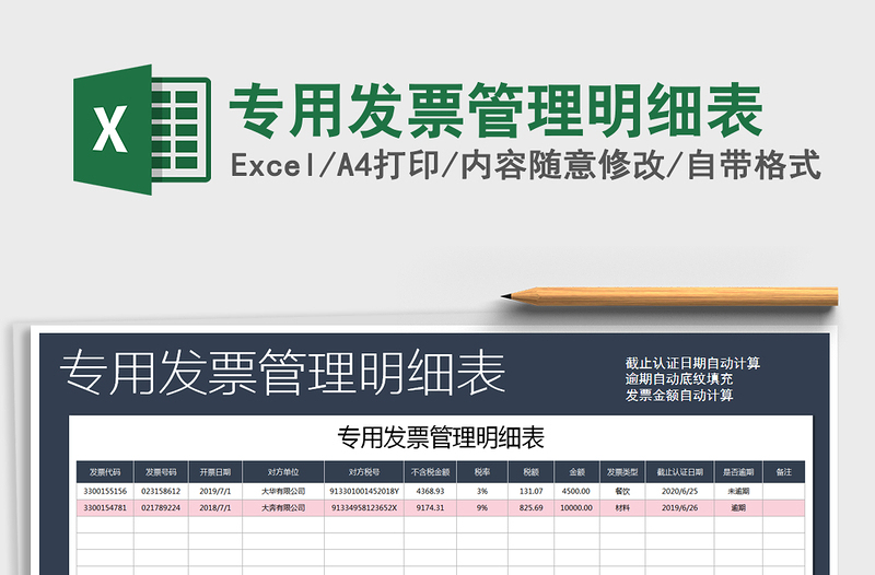 2025年专用发票管理明细表