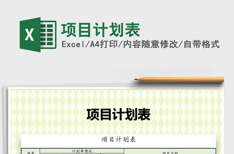 2025年项目计划表