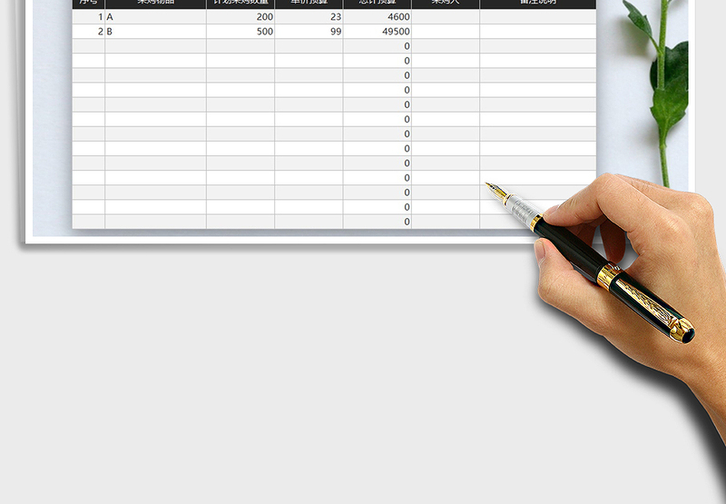 2025年采购预算表