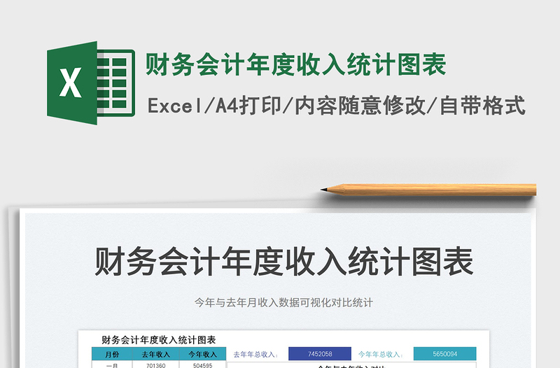 2025财务会计年度收入统计图表免费下载