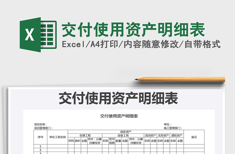 2025年交付使用资产明细表