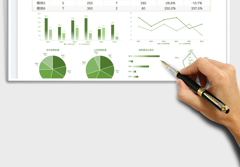 2025数据统计分析表