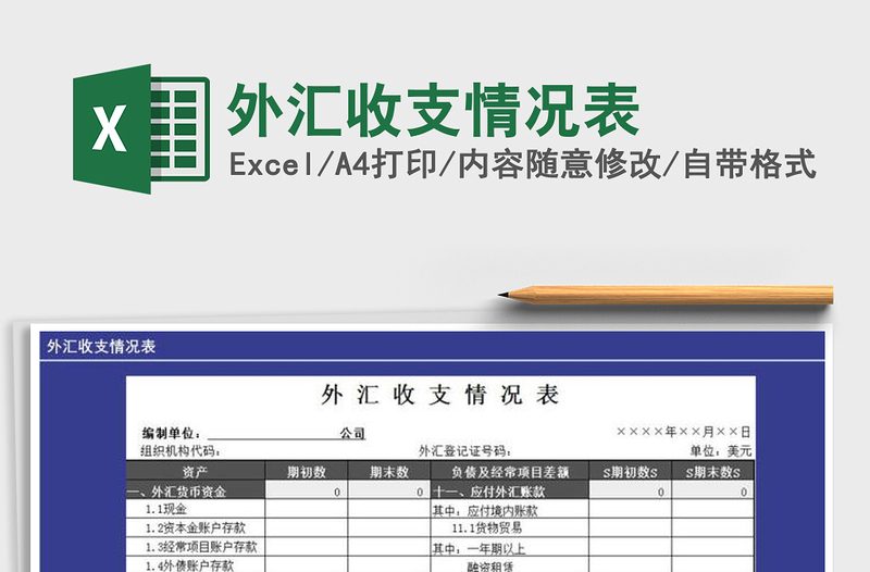 2025年外汇收支情况表免费下载