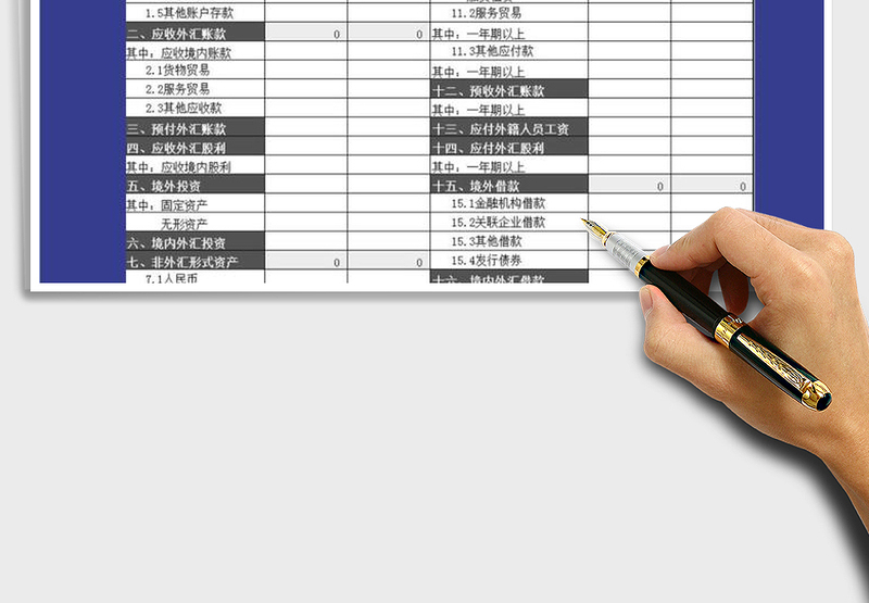 2025年外汇收支情况表免费下载