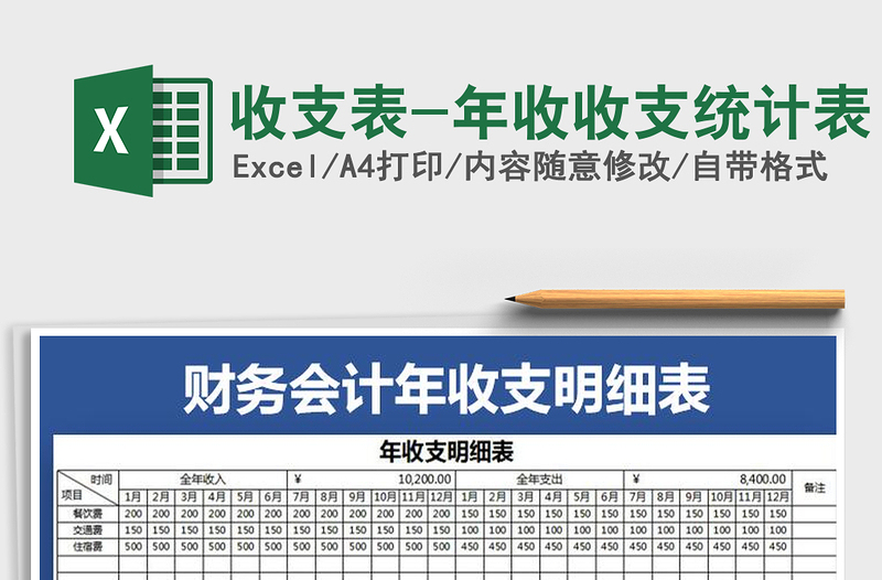 2025年收支表-年收收支统计表