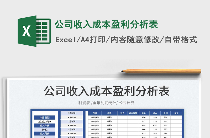 2025公司收入成本盈利分析表免费下载