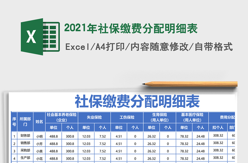 2025年社保缴费分配明细表