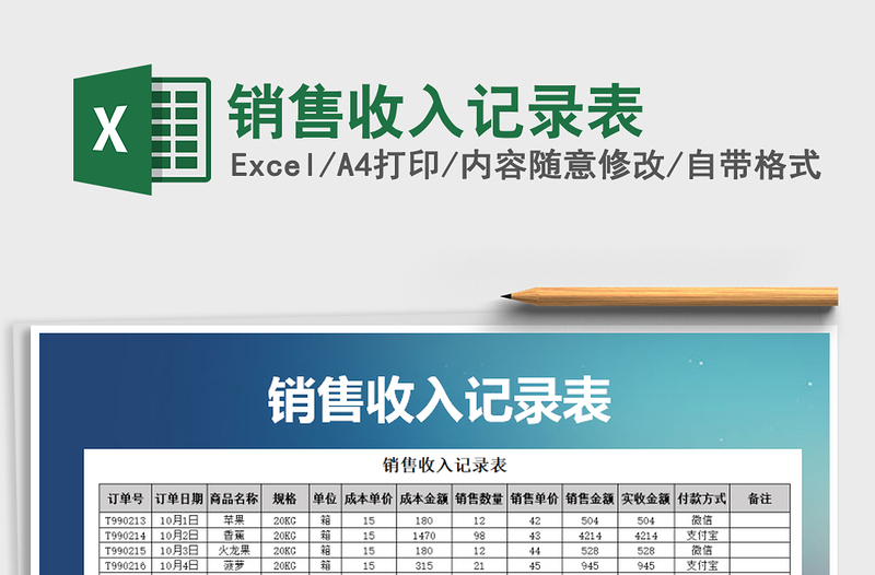 2025年销售收入记录表