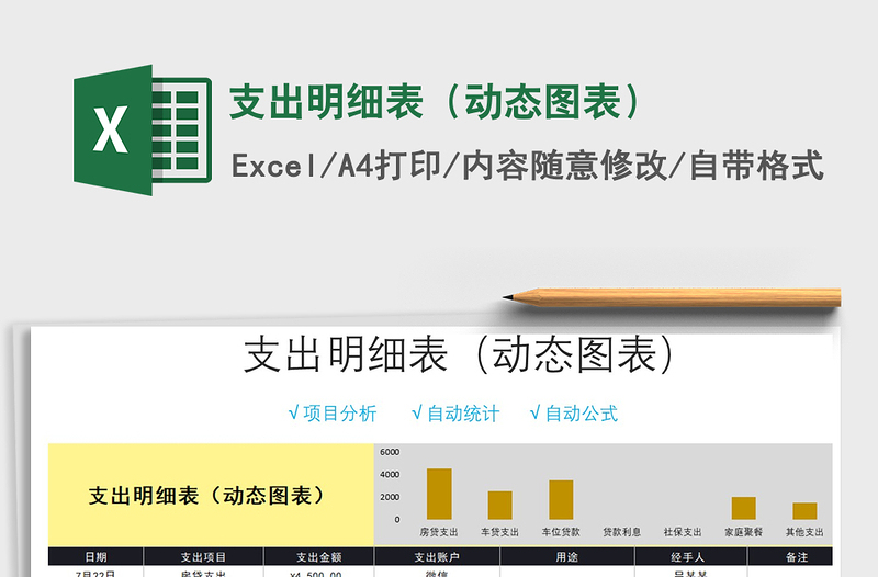 2025年支出明细表（动态图表）