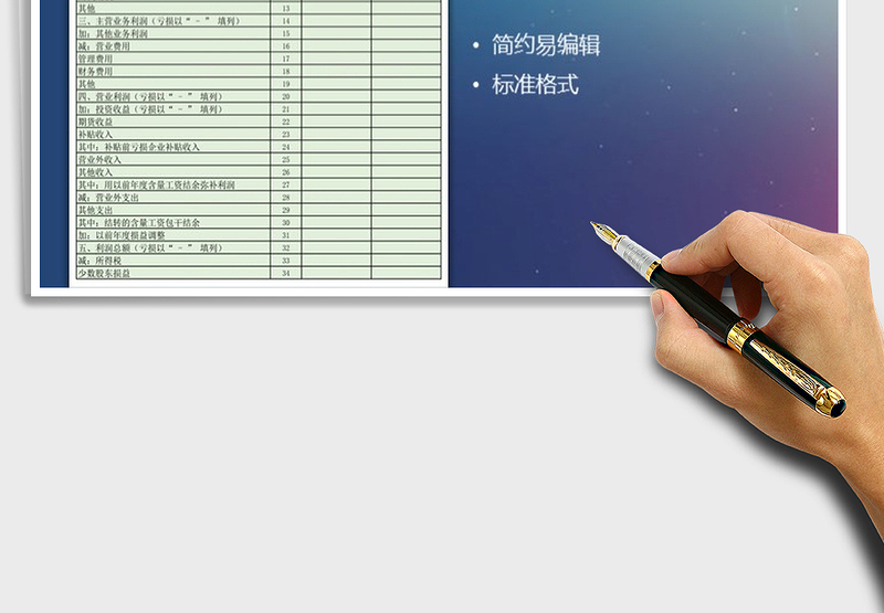 2025年利润表通用模板