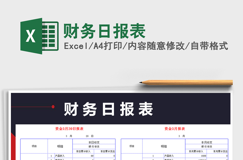 2025年财务日报表