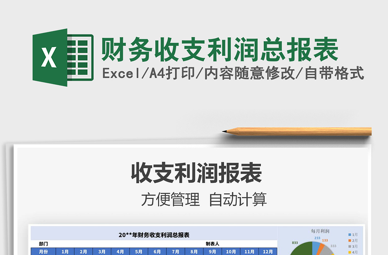 2025年财务收支利润总报表