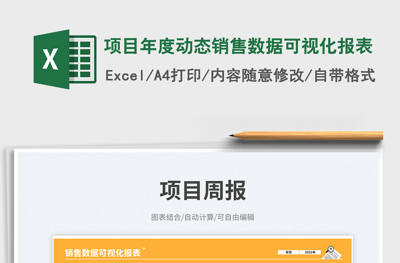 2025项目年度动态销售数据可视化报表免费下载