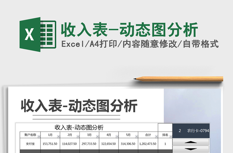 2025年收入表-动态图分析