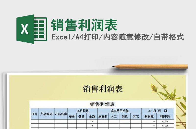 2025年销售利润表