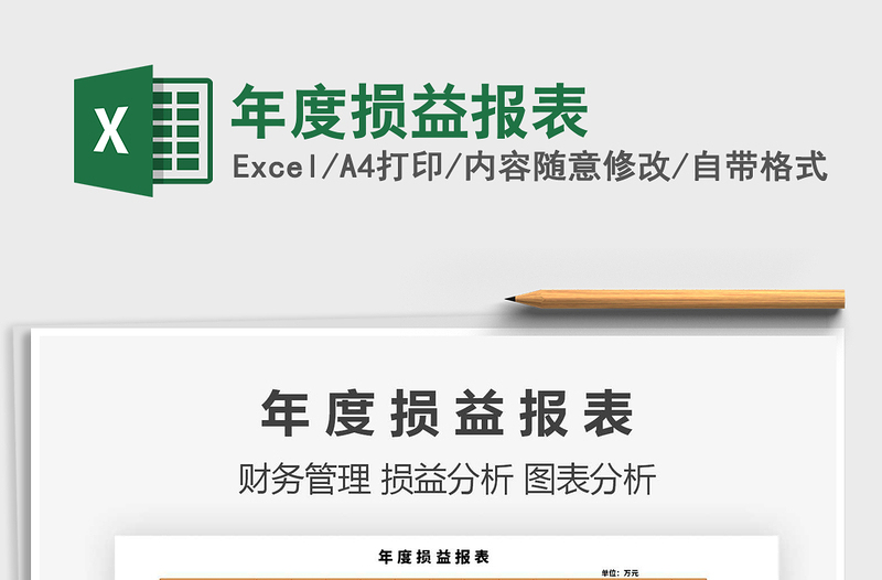 2025年年度损益报表