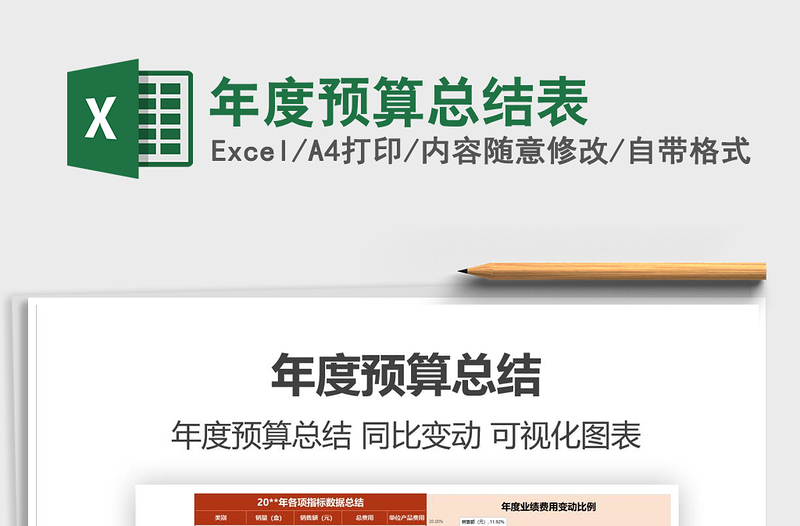 年度预算总结表