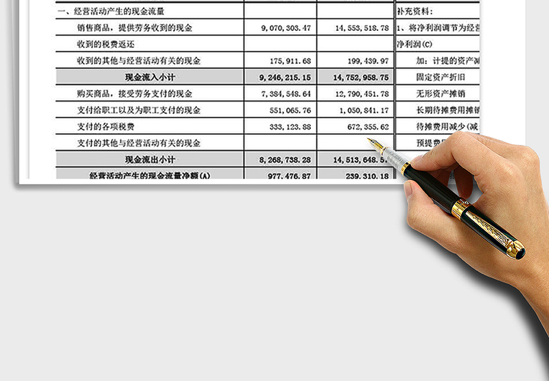 2025年现金流量表免费下载