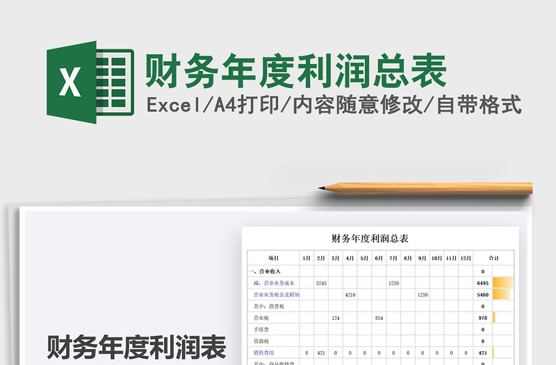 2025年财务年度利润总表