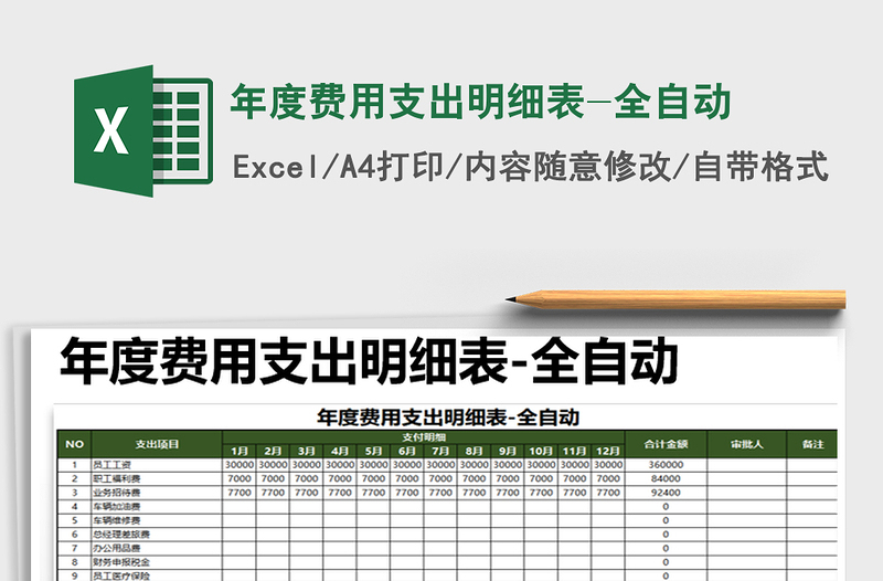 2025年年度费用支出明细表-全自动