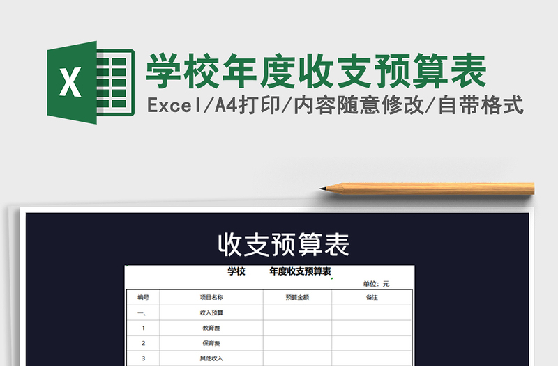 2025年学校年度收支预算表