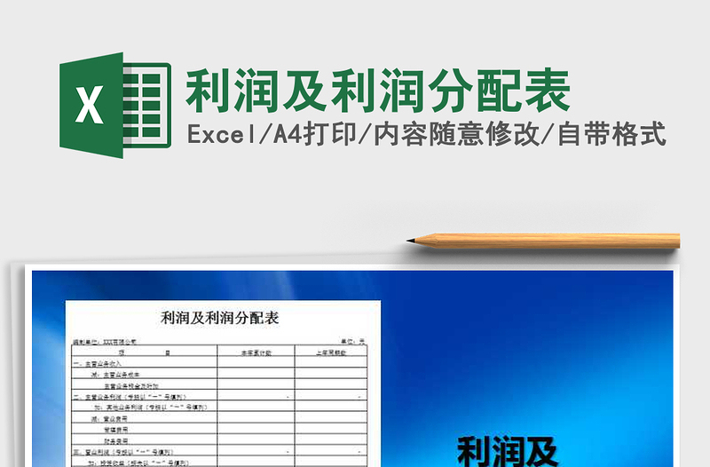 2024年利润及利润分配表