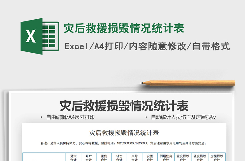 2025灾后救援损毁情况统计表免费下载