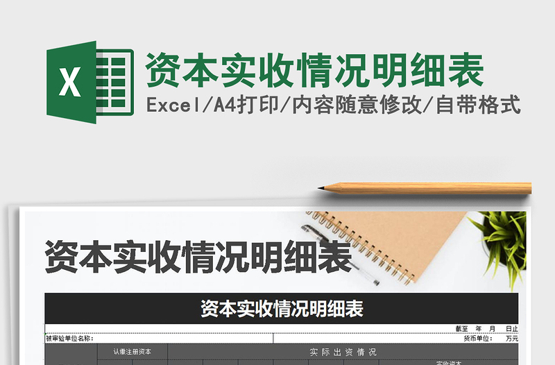 2025年资本实收情况明细表