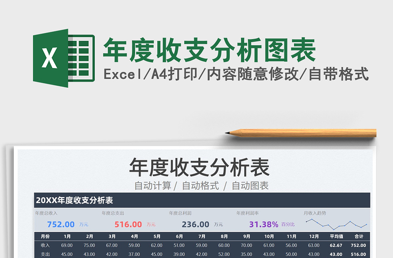 2025年度收支分析图表免费下载