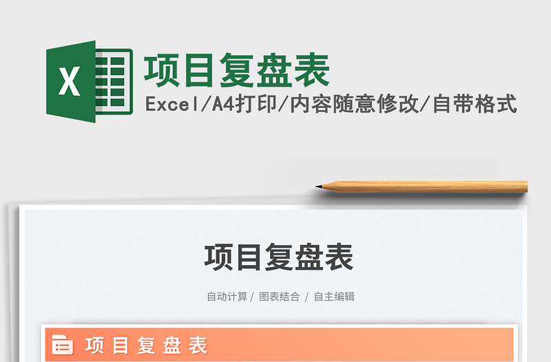 2025项目复盘表免费下载