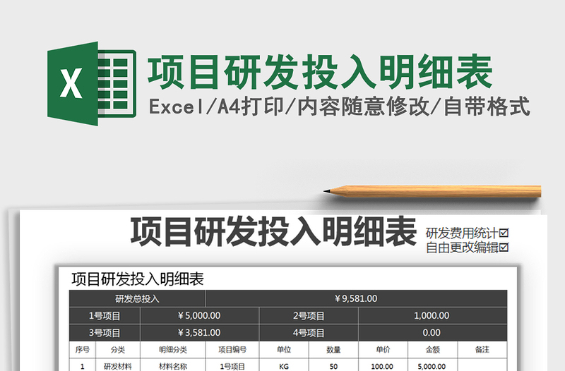 2025年项目研发投入明细表