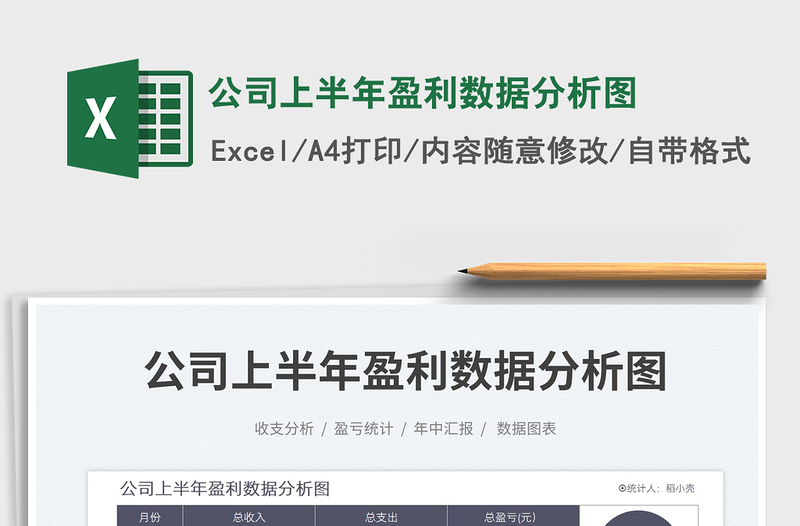 2025公司上半年盈利数据分析图免费下载