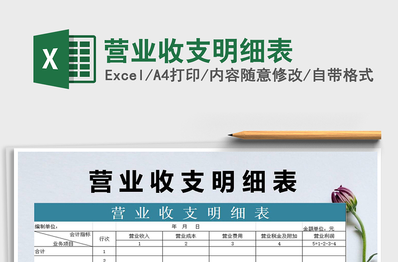 2025年营业收支明细表