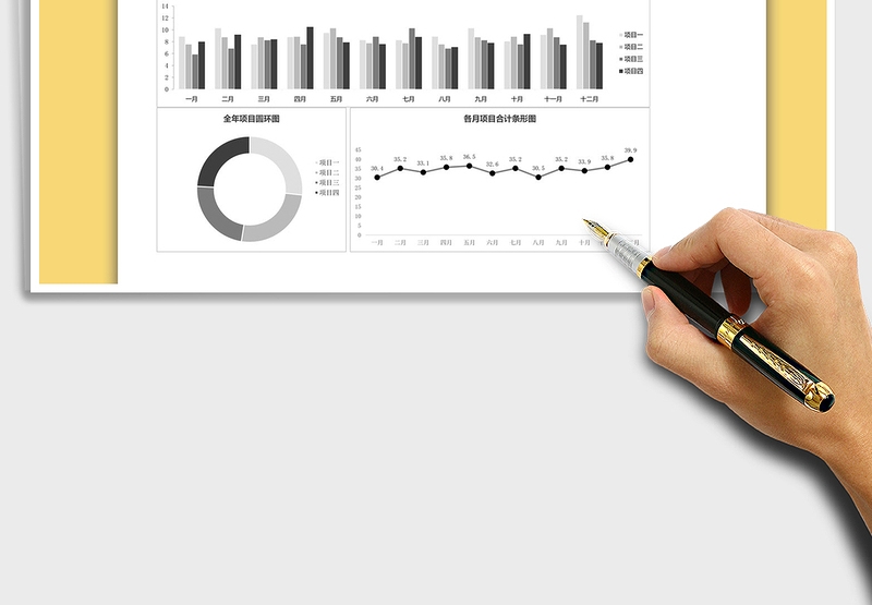 2025年全年项目收入图表