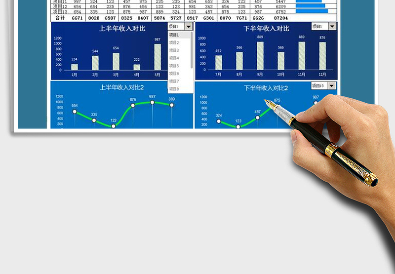2025年年度收入总表-动态图标分析