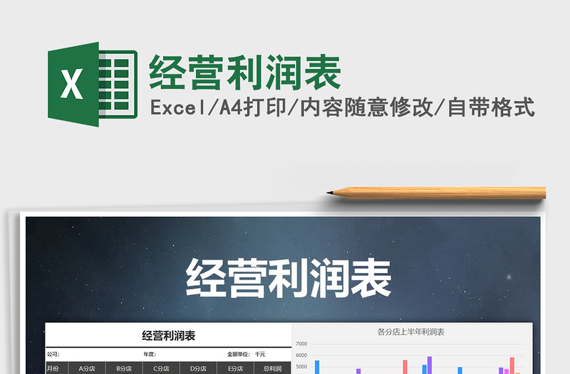 2025年经营利润表