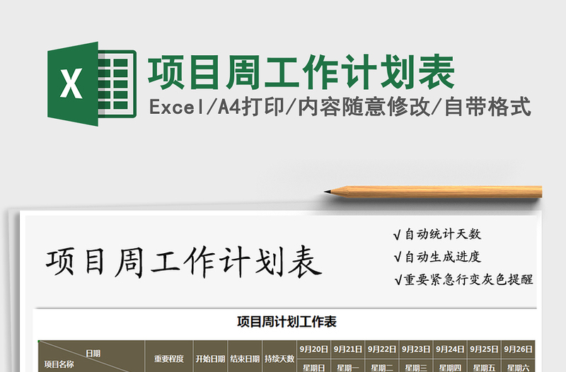 2025年项目周工作计划表