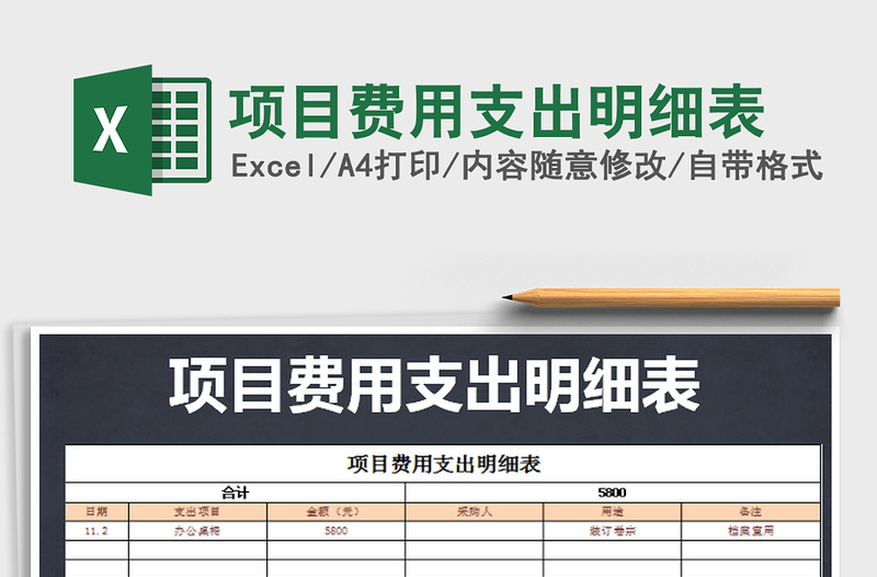 2025年项目费用支出明细表