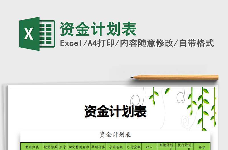 2025年资金计划表