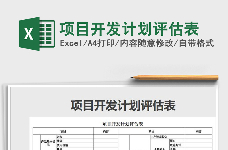 2025年项目开发计划评估表