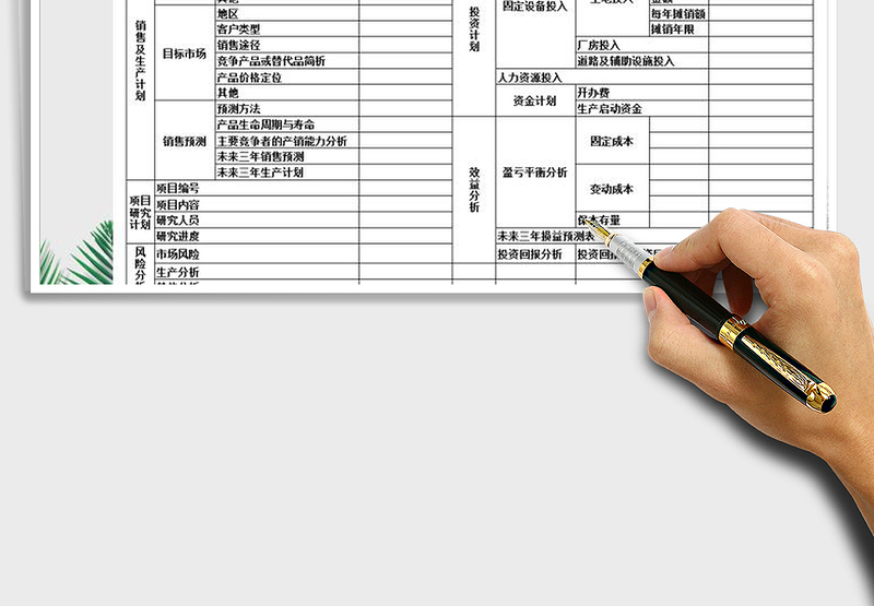 2025年项目开发计划评估表