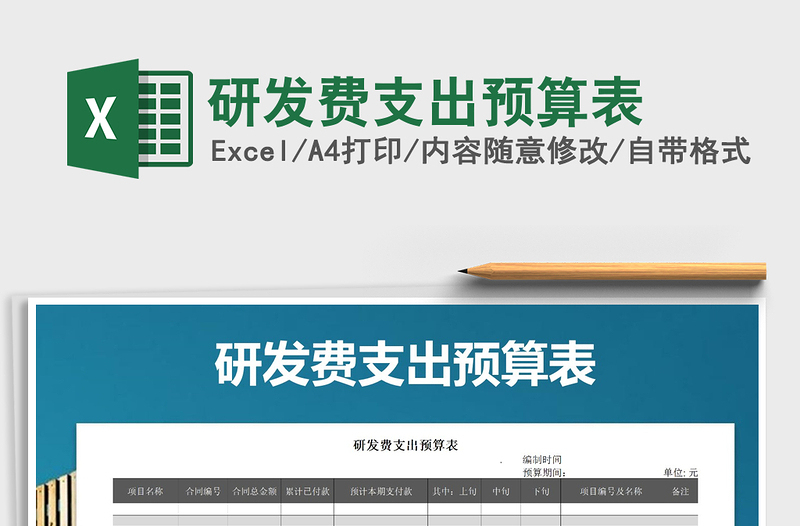 2025年研发费支出预算表