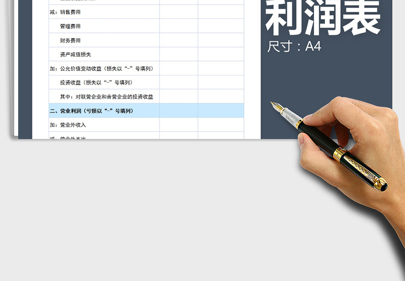 2025年利润表（简洁大方）